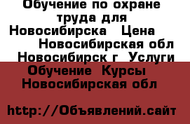 Обучение по охране труда для Новосибирска › Цена ­ 3 500 - Новосибирская обл., Новосибирск г. Услуги » Обучение. Курсы   . Новосибирская обл.